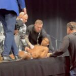 desmaio-e-luta-cancelada:-os-bastidores-da-caotica-pesagem-do-ufc-324.-veja-video
