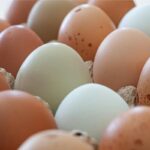 ovo-branco-ou-marrom:-existe-diferenca-nutricional?